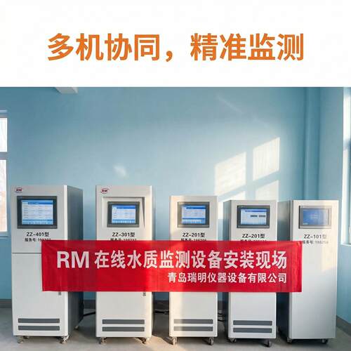 瑞明水质在线监测仪COD氨氮总磷总氮参数可选现场案例