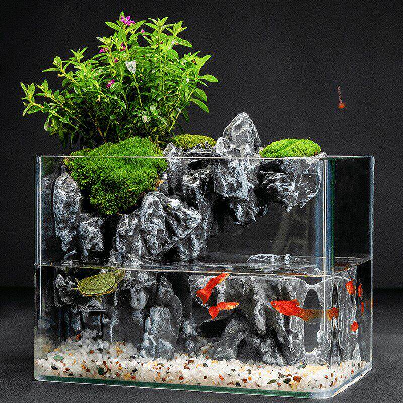 生态景观玻璃鱼缸微景观绿色植物桌面小过滤器集成循环客厅水陆龟