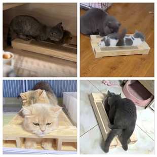 新款宠物猫咪配种架喵喵专用辅助配种大型猫抓架剑麻实木一体