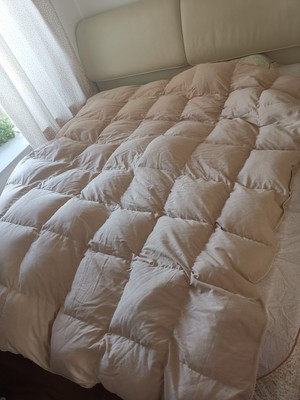 鸿润95%白鹅羽绒被怎么样值得入手吗？讲讲看