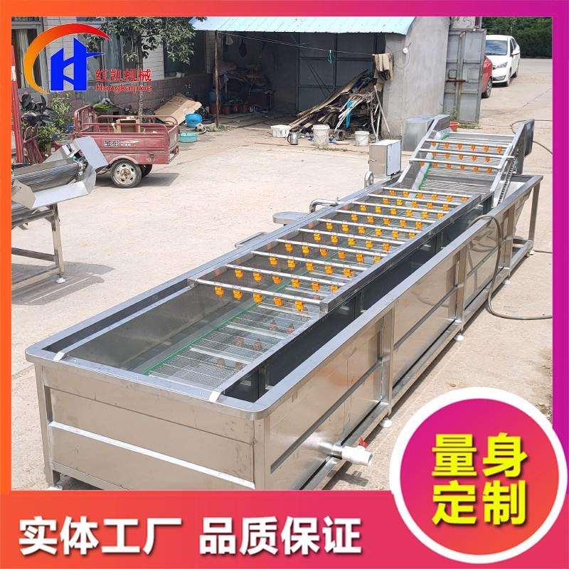 翻浪式油菜气泡清洗机全自动果蔬清洗机设备大枣青枣清洗机设备