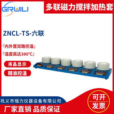 厂家磁力搅拌电热套ZNCL-TS实验室多联智能数显电热套50ml-1000ml
