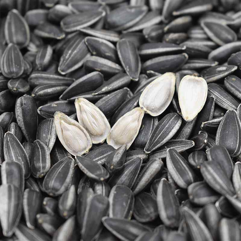 速发现货内蒙古黑珍珠瓜子内蒙古直发小油葵黑丁今年新货黑珍珠瓜