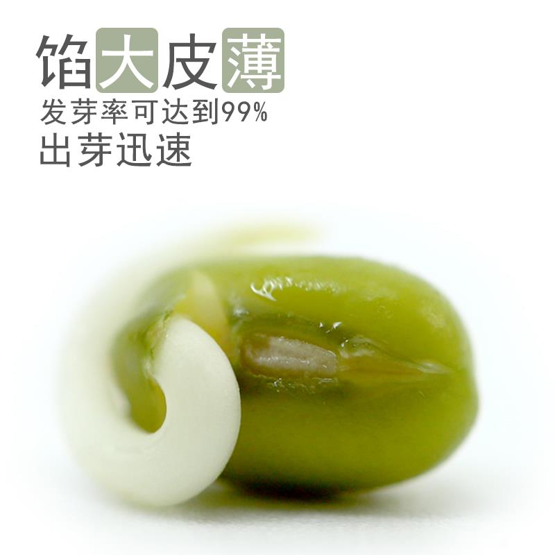 学子饭桌东北皮薄新鲜1斤发豆芽汤粥材料大粒新 有机绿豆