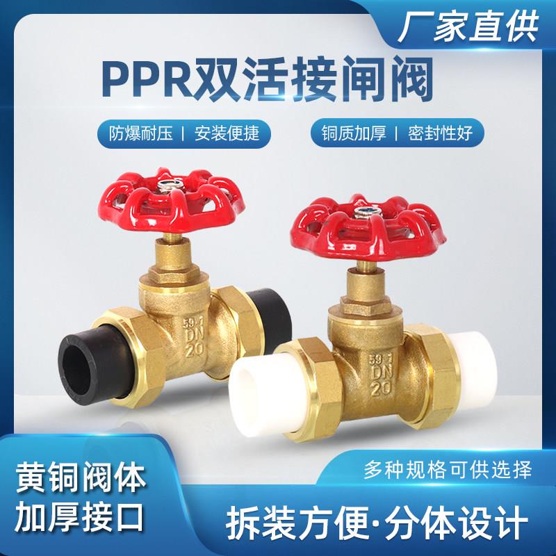 全铜PPR双活接闸阀管专用4分6分1寸自来水总阀20开关阀门25截止阀