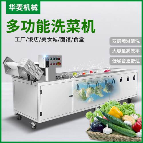 全自动果蔬清洗机 多功能蔬果净菜清洗设备流水清洗线气泡洗菜机