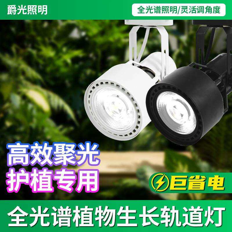 全光谱E27轨道植物灯大型绿植两线轨道补光灯