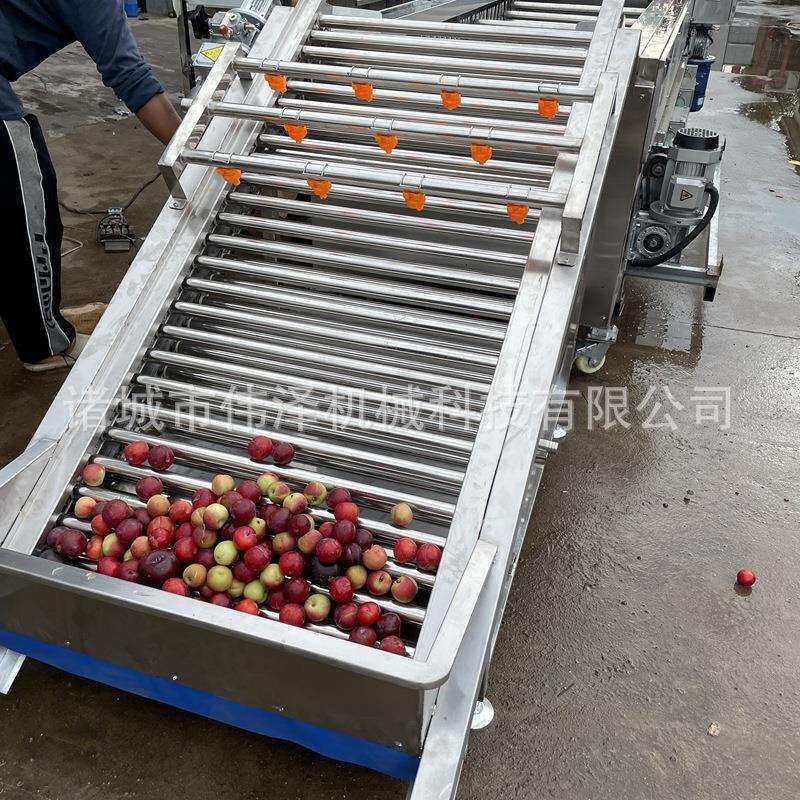 全自动净菜清洗设备 洗菜机 果蔬气泡清洗机 海鲜小龙虾清洗机