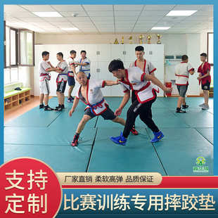 专业摔跤垫比赛训练摔跤垫XPE材质自由式摔跤垫武术散打格斗地垫