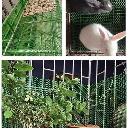 隔离网防护网绿色塑料围栏养鸡网