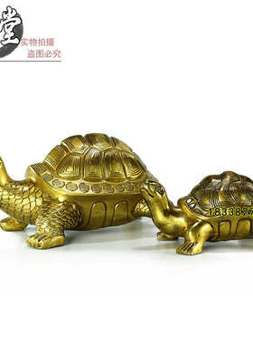 黄铜乌龟摆件 巴西龟大小号铜龟 祝寿贺寿金属装饰工艺礼品摆饰