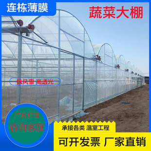 连栋薄膜大棚农业种植花卉采摘智能温室大棚骨架连栋拱形观光大棚