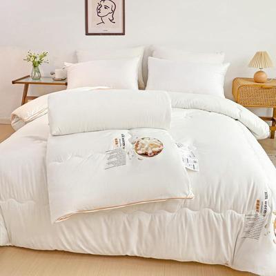 【折扣价】全棉A类桑蚕丝被子母被二合一拉链款夏凉被春秋冬被双