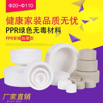 ppr管帽水堵头 PPR堵帽热熔管帽接头20 25 32管盖4分 6分水管配件