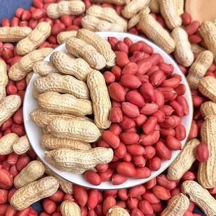 2024新红皮带壳生花生农家新货四粒红新鲜小粒红衣花生仁可吃可种