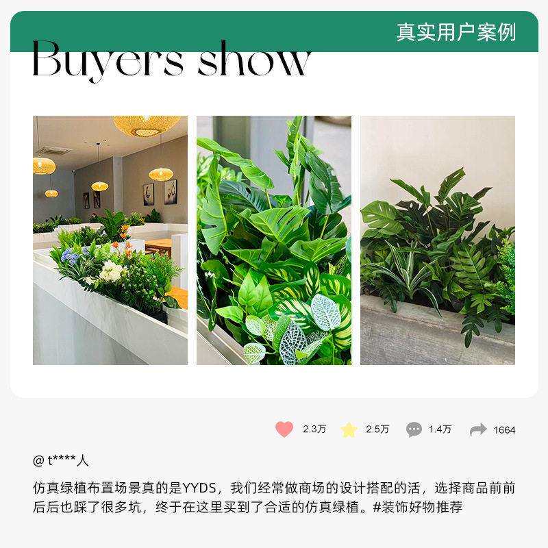 造景组合植物盆栽客厅大型绿植室内落地大号花盆公室四季常青树