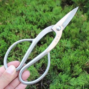 高端千藤不锈钢剪根剪叶芽剪景造型制盆作工坊具修枝可根剪BHT细