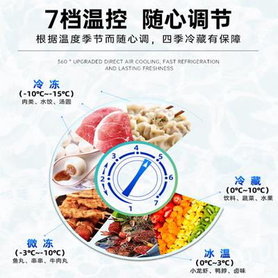 莞雪冰柜台式冷藏烧烤炸串展示柜小型冷冻保鲜卧式三轮车摆摊冰箱