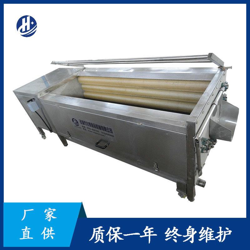 不锈钢去皮毛辊清洗机全自动小型莲藕磨皮机毛刷土豆红薯清洗机