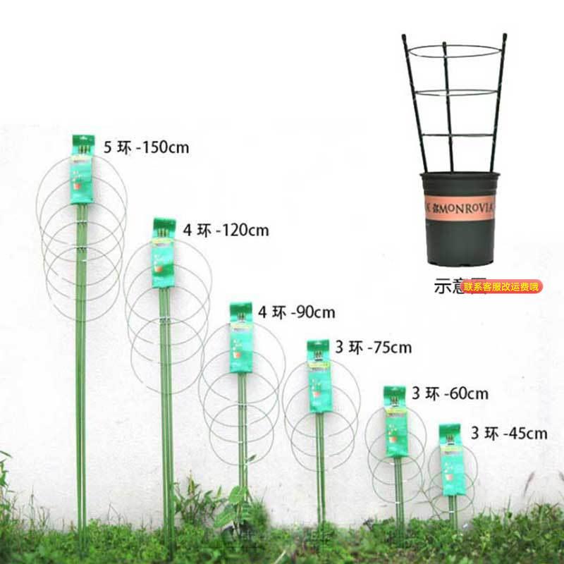 园艺用品植物支撑固定爬藤花架包塑铁丝圆环状支柱花支架工具