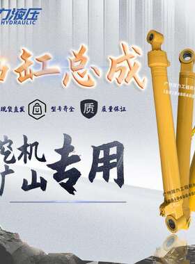 中联重工ZE230E/245E/370E/470/480ESP大中小臂油缸筒盖泵芯活塞