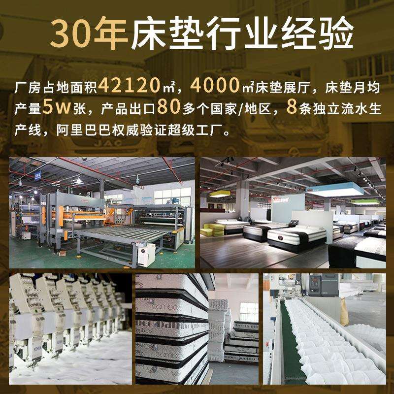 全拆式家用乳胶弹簧床垫可拆卸拆洗软硬适中可调卧室席梦思25cm