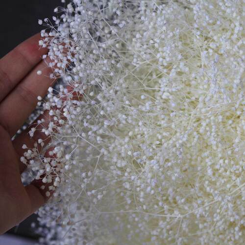永生百万星霞草星DIY干花材料包玻璃罩香薰浮游花材永生花手工花