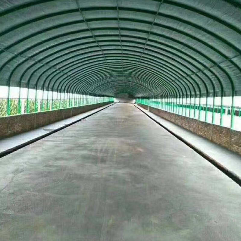 温室种植大棚养殖农用大棚设计农用家禽养殖温室大棚畜牧用养殖棚