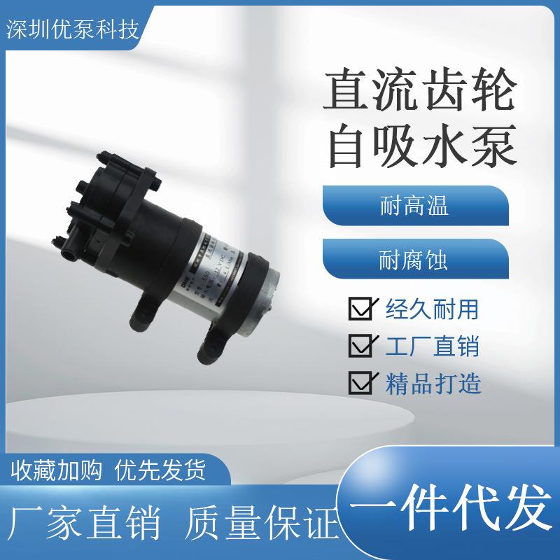 550齿轮泵耐腐蚀化工循环抽油水泵12V24V微型高压抽油自吸泵