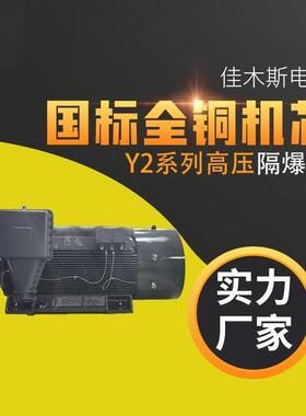 佳木斯电机马达Y2高压电动机隔爆型三相异步H355～H560 200kw