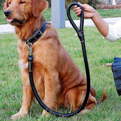 一拉紧牵引绳柴犬宠物绳小中大型pu皮革牵狗绳绳子一体遛狗训练