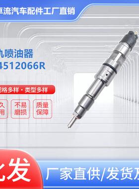 共轨喷油器044512066R 1000835333总成高压柴油机厂家直销