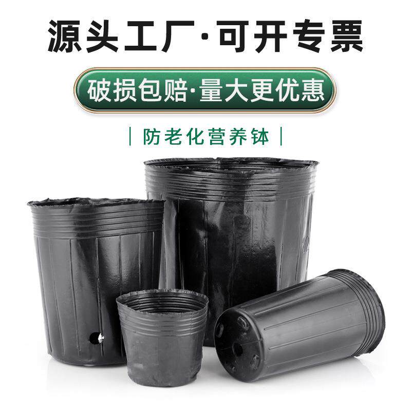 恒德利防老化营养杯基地加厚营养袋黑色塑料育苗袋厂家育苗杯