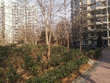 珠江逸景219号楼1单元904号