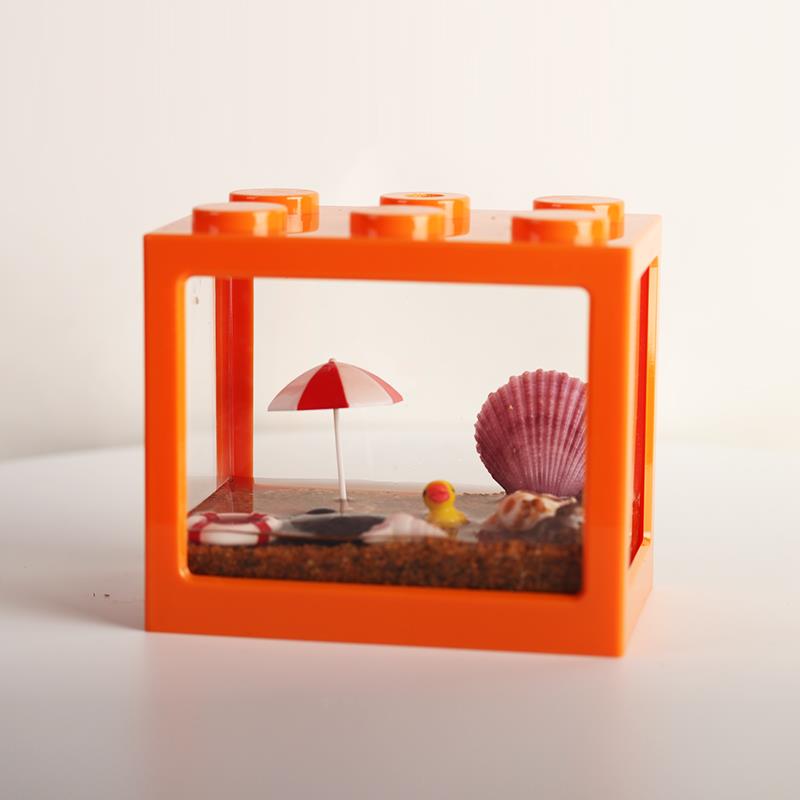 豆豆蟹谭氏泥蟹网红迷你辣椒蟹桌面爬宠生态微景观易养水族观赏蟹