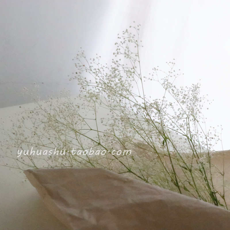 ins白绿满天星干花花束摆件陶瓷玻璃花瓶民宿软装店铺样板房装饰