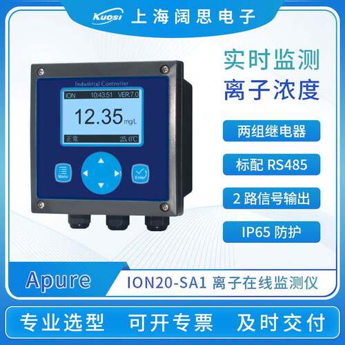 离子在线监测仪ION20离子浓度变送器离子浓度计F离子校正液
