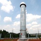 内燃沼气火炬系统维修大垃圾填埋场300立方火炬废气处理火炬配件