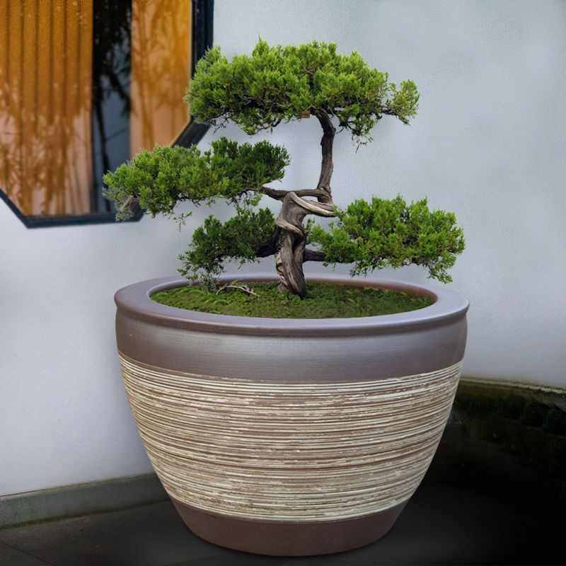 水缸陶瓷碗鱼缸古法缸睡莲厂家直销莲花盆庭院特大号室外缸盆