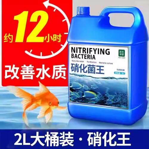 硝化细菌鱼缸水质净化专用剂消化细菌鱼用鱼池用开缸养水鱼缸维护