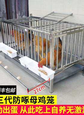 不锈钢滚蛋笼自动滚蛋鸡笼家用鸡窝防鸡吃蛋防啄蛋蛋鸡专用笼蛋托