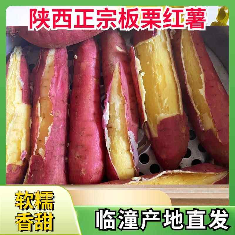 陜西临潼板栗红薯正宗沙地现挖新鲜番薯小香薯甜地瓜农家自种