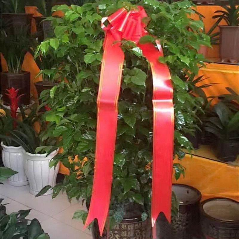 开业庆典花篮拉花装饰彩条可写字蝴蝶结彩带飘带开业拉花题字帆布