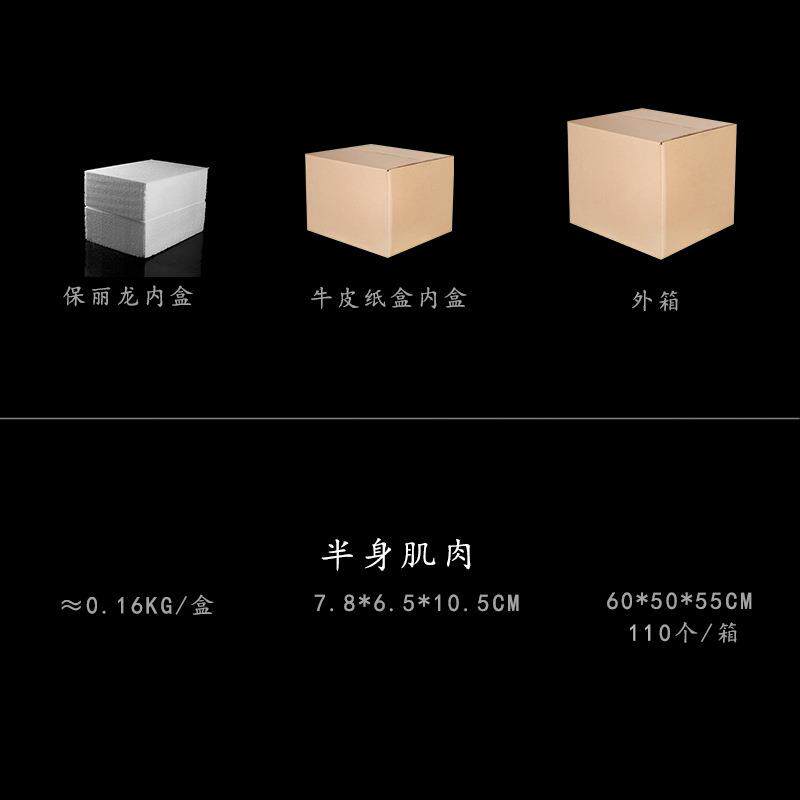 工艺品素描医学模型摆件仿古白连体头骨树脂骷髅头肌肉石膏像教学