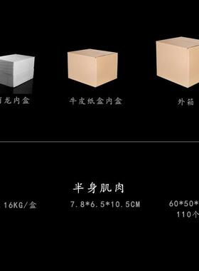 工艺品素描医学模型摆件仿古白连体头骨树脂骷髅头肌肉石膏像教学