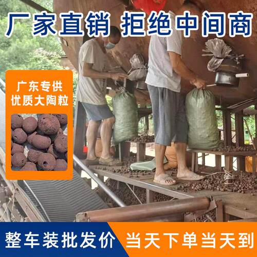 【广东发货】厂家直销轻质陶粒回填卫生间工程建筑垫底铺面大颗粒