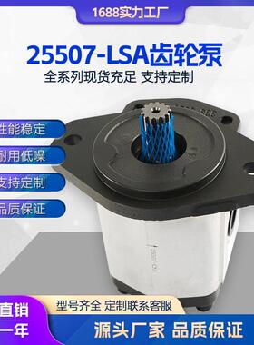 液压泵25507-LSA高压液压油泵大流量增压齿轮泵现货