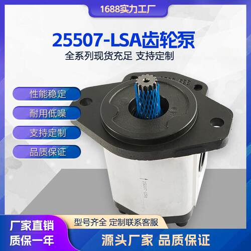 液压泵25507-LSA高压液压油泵大流量增压齿轮泵现货