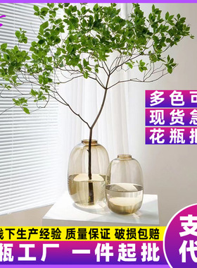 简约现代马醉木花瓶大肚玻璃透明水养客厅插花摆件落地花器吊钟