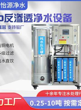 大型RO反渗透净水设备0.25吨压力罐纯水机器直饮去离子水处理设备